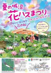 夏の城沼　花ハスまつり　開催中！！