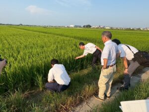 250805【現地視察】水稲の病害虫対策
